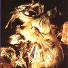 abeilles varroas